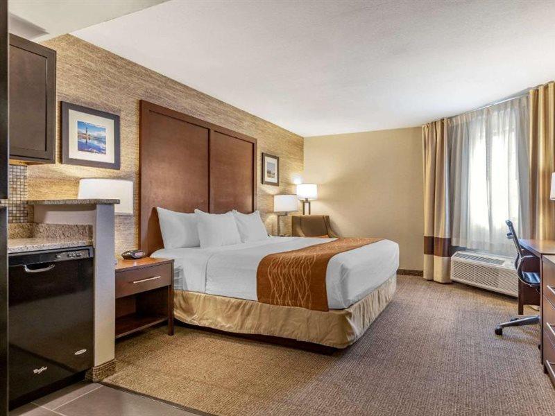 Comfort Inn Ludington Near Us-10 Εξωτερικό φωτογραφία
