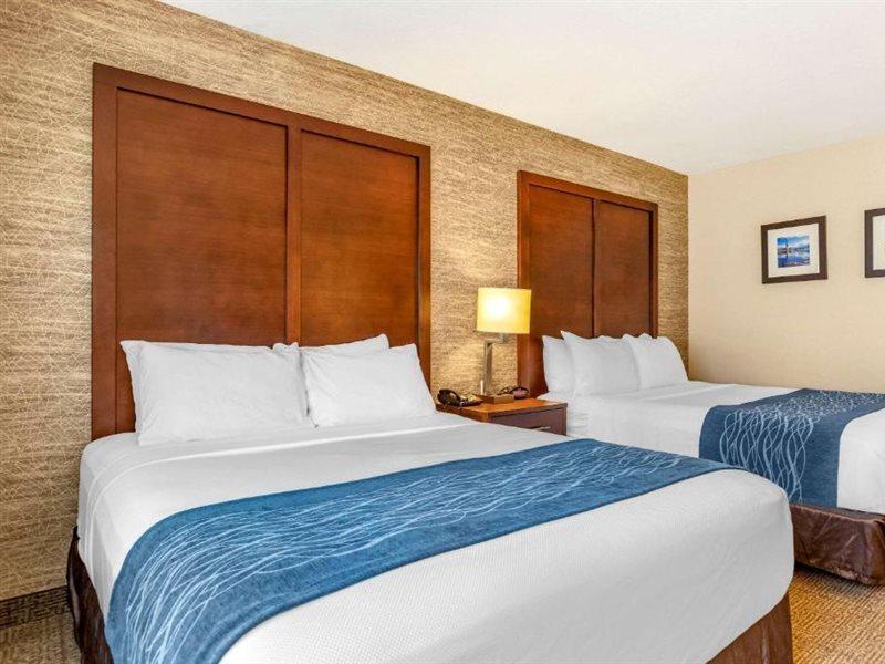 Comfort Inn Ludington Near Us-10 Εξωτερικό φωτογραφία